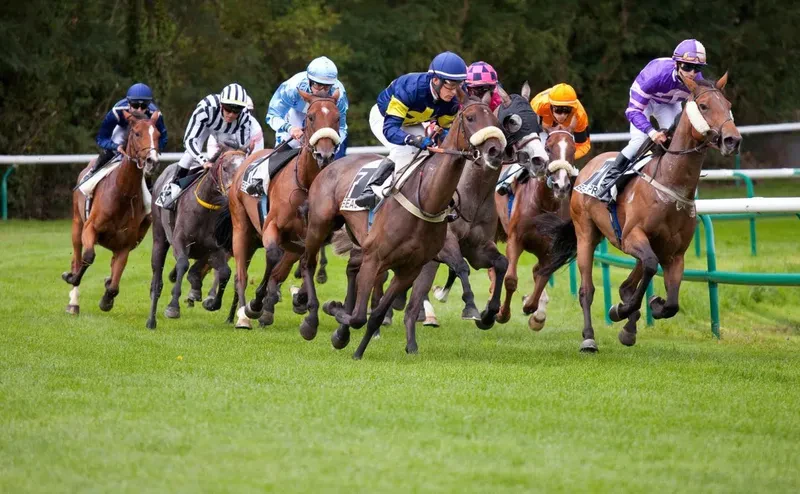 gallop horse race