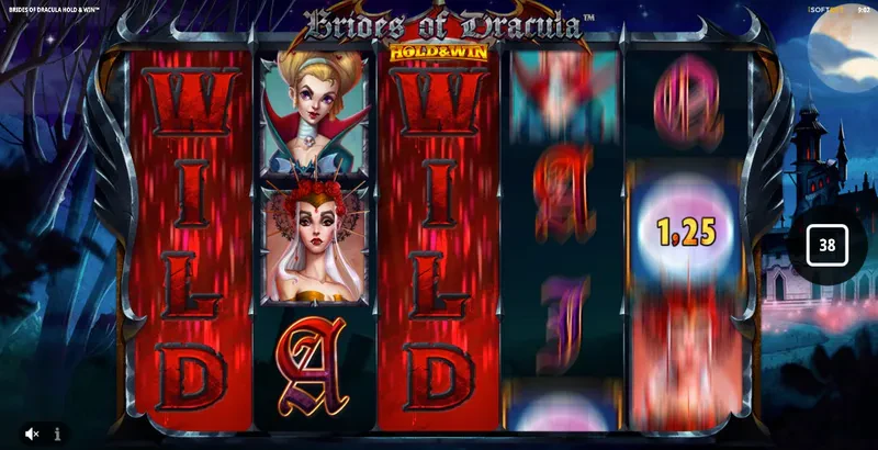 Fonctionnalité 2 wild desire sur Brides of Dracula : hold & win