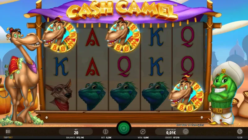 scatter cash camel