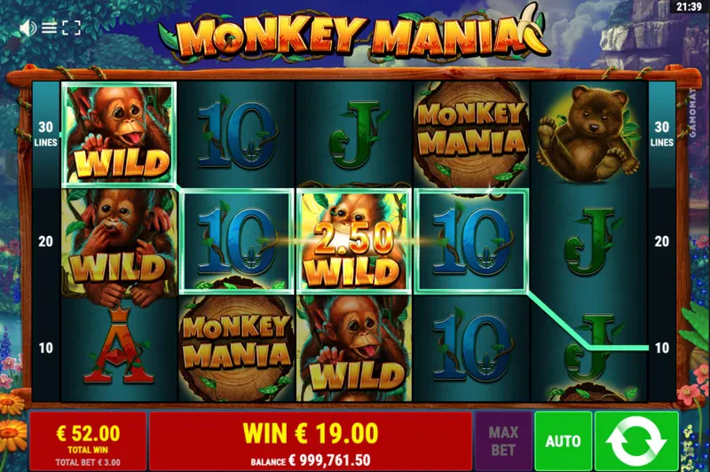 bonus monkey mania