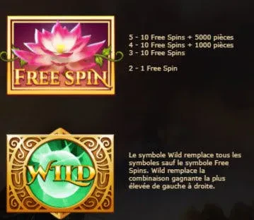 free spin wild nirvana