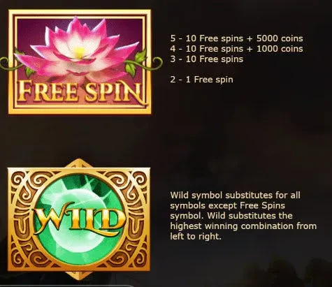 free spin wild nirvana