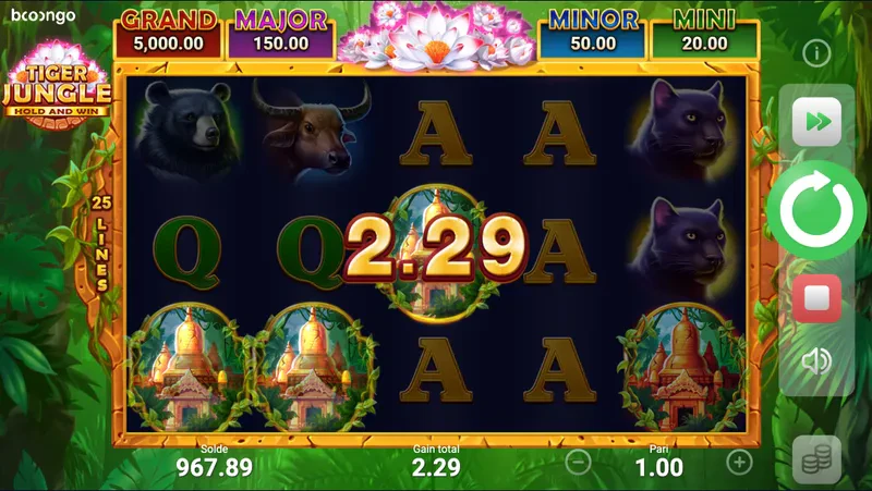 scatter free spins tiger jungle hold and win