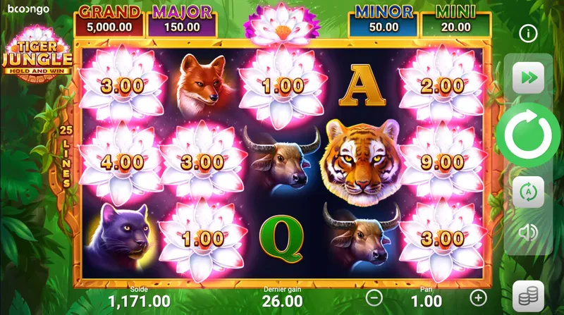 bonus games scatter tiger jungle hold and win