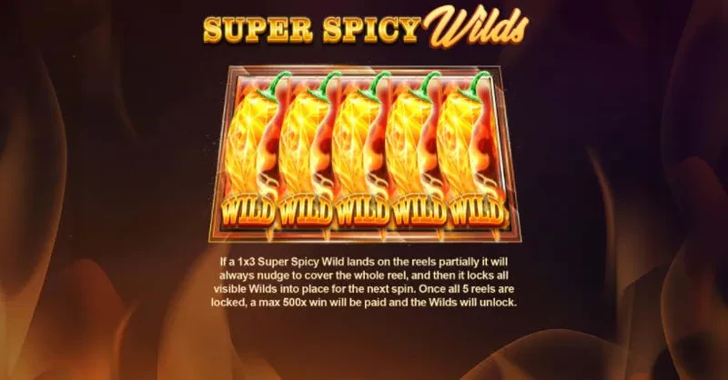 Wild Hot Chili Reels bonus