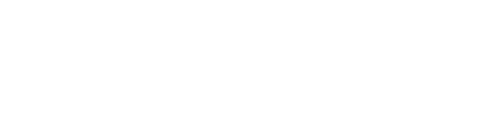 logowhite-wildfortune