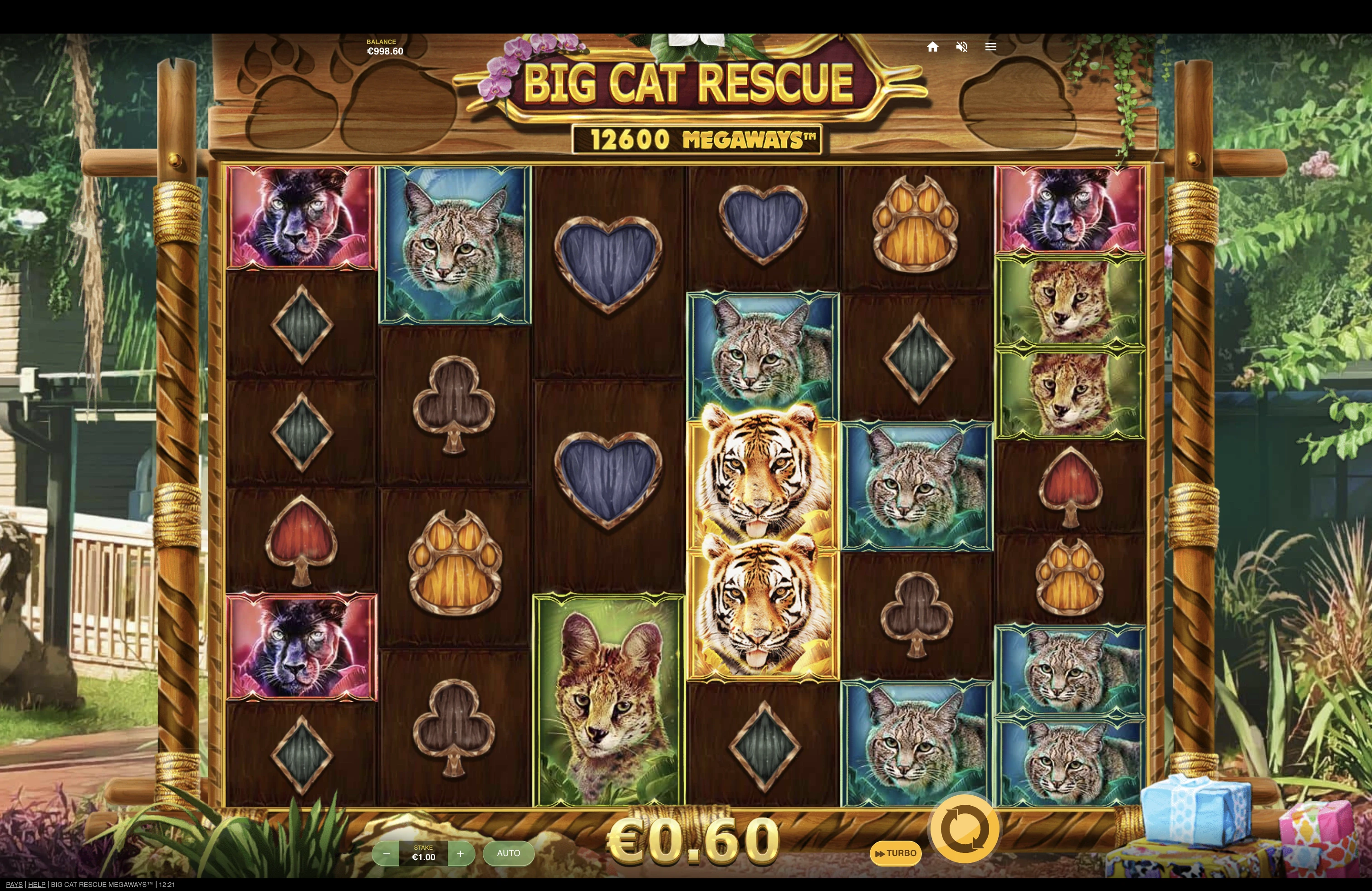 Grille de départ de la machine a sous Big Cat Rescue Megaways du provider Red Tiger Gaming