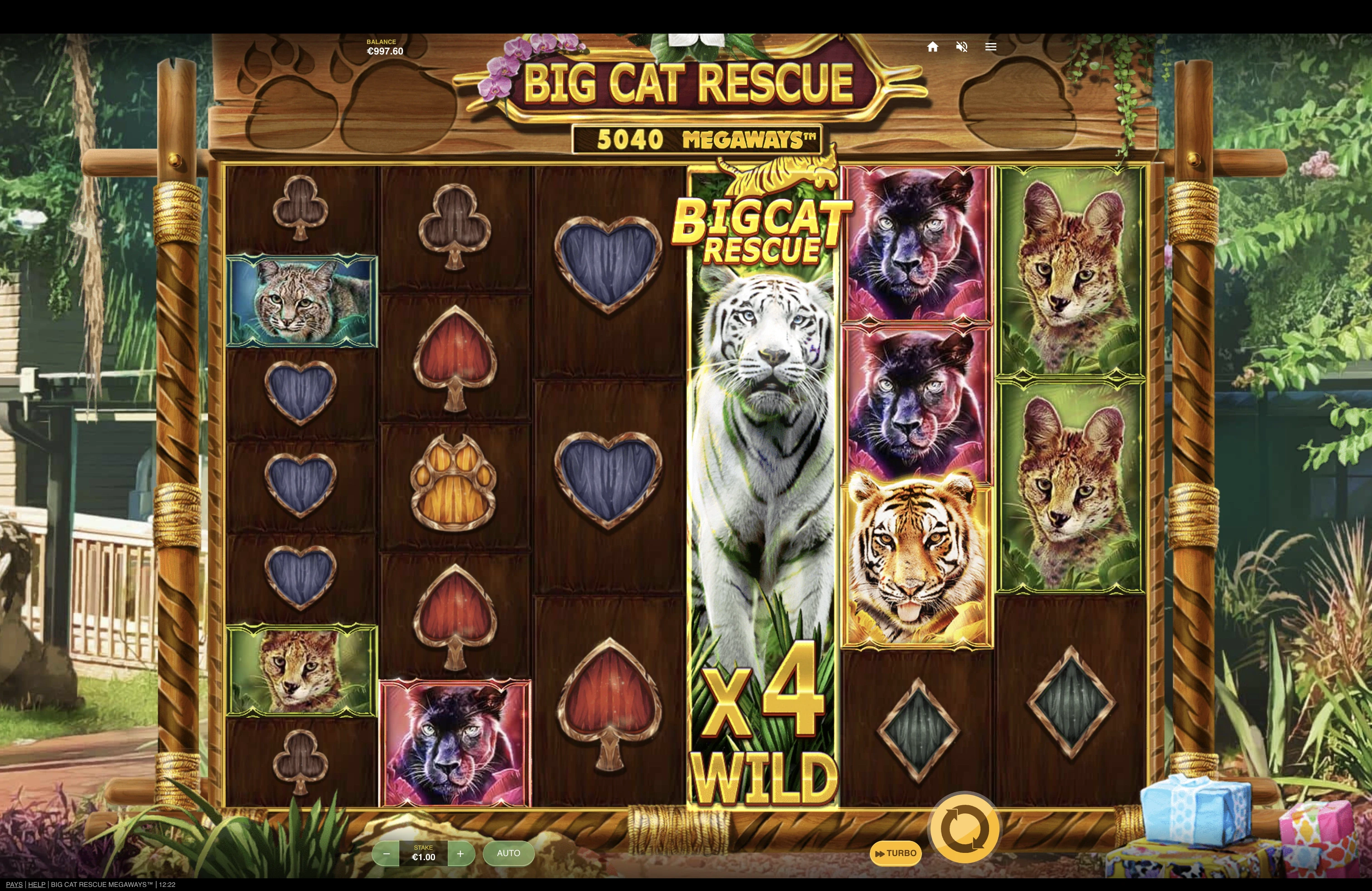 Fonctionnalité durant les parties payantes sur la machine a sous Big Cat Rescue Megaways de Red Tiger Gaming
