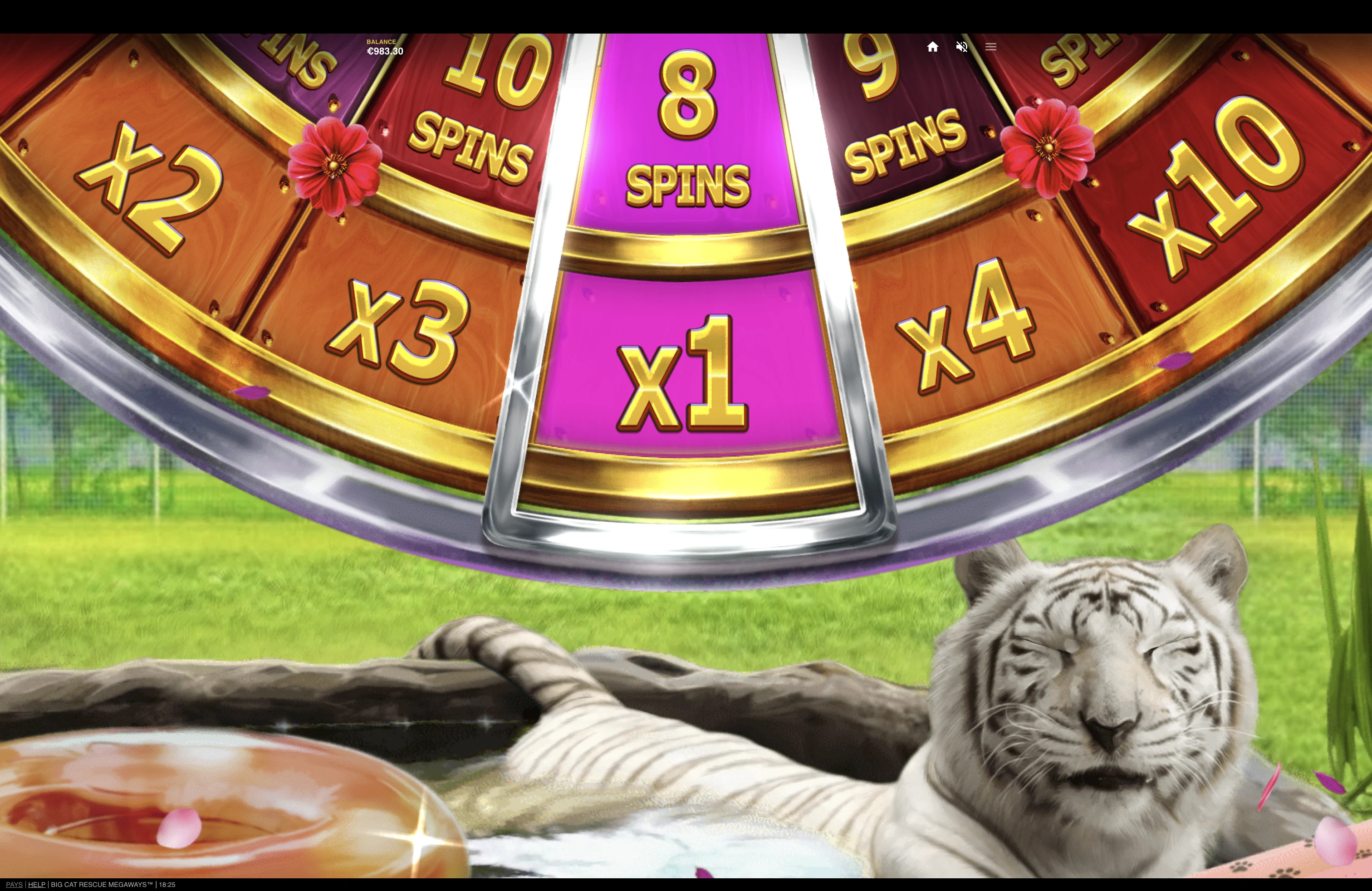 La roue avant les tours gratuits sur la machine a sous Big Cat Rescue Megaways du provider Red Tiger Gaming