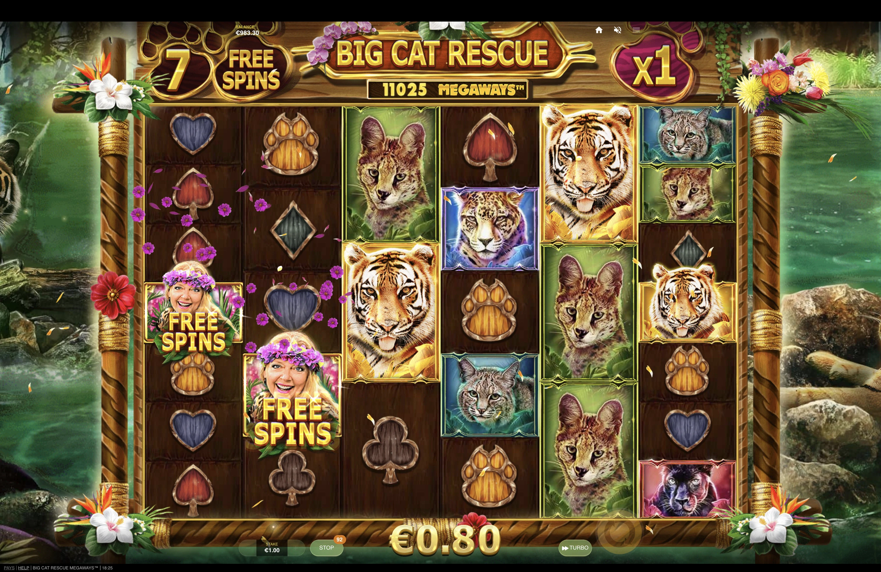 Explication des parties gratuites sur la machine a sous Big Cat Rescue Megaways du provider Red Tiger Gaming
