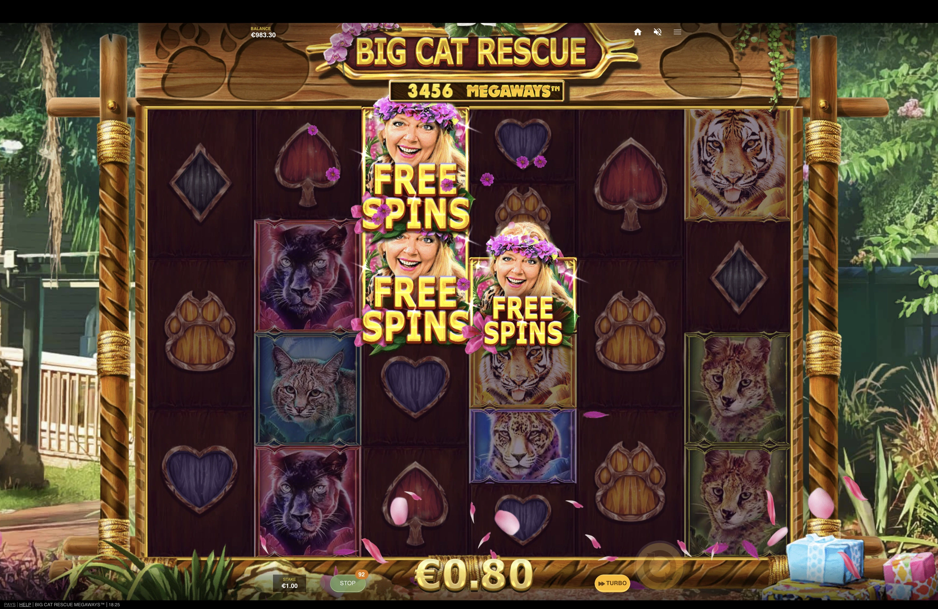 Obtention des parties gratuites sur la machine a sous Big Cat Rescue Megaways du provider Red Tiger Gaming