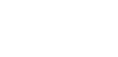 logotype white spinspirit