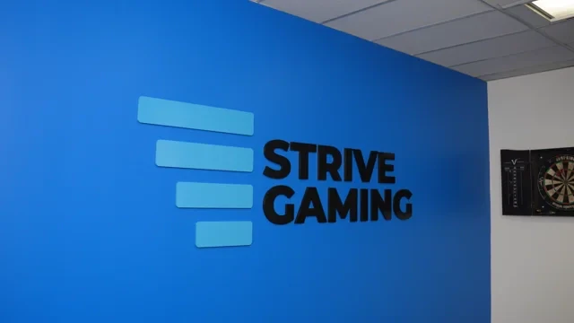 Strive Gaming