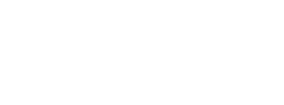Logo transparent Twin
