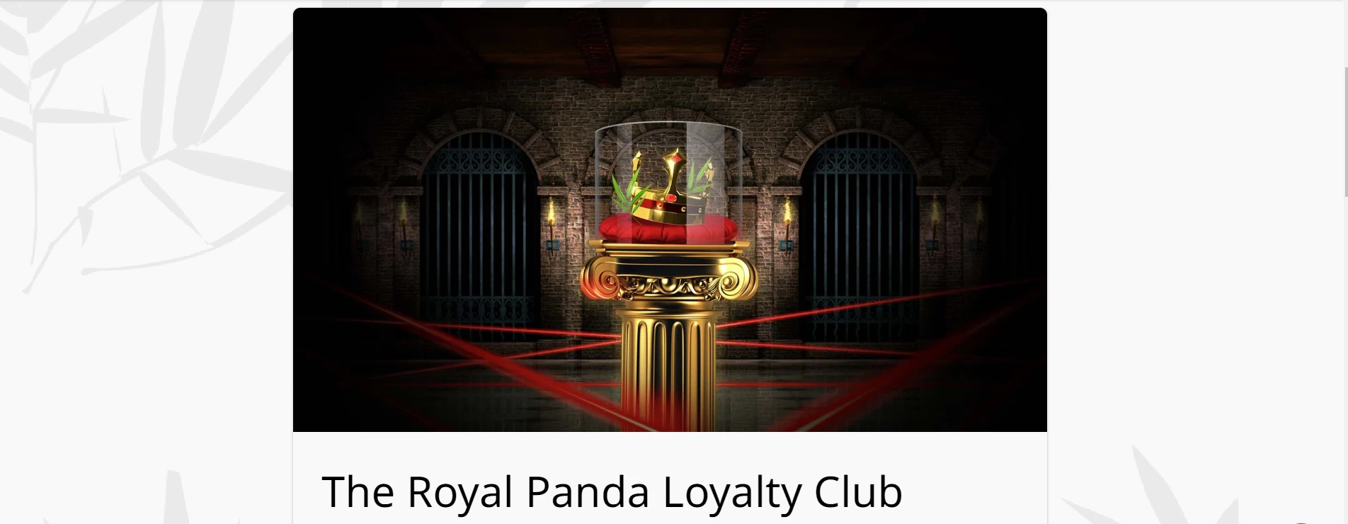 Royal Panda Loyalty Club