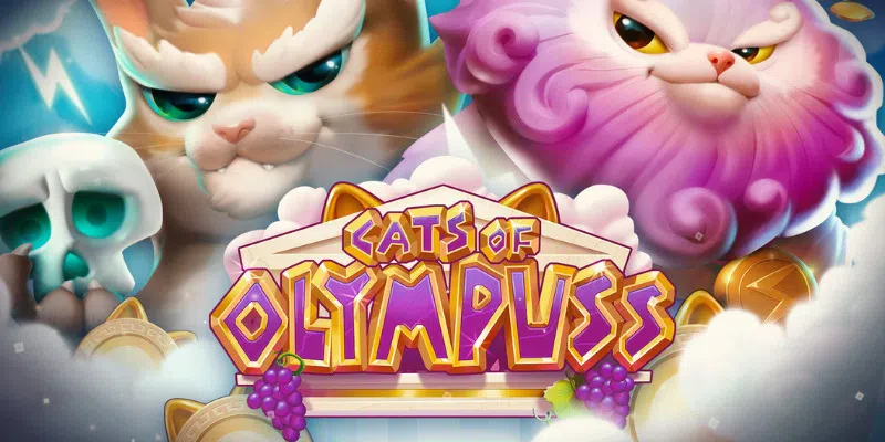 Cats of Olympuss