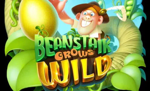 Beanstalk Grows Wild