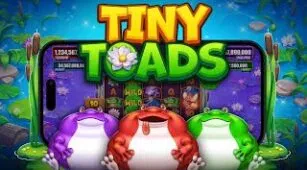 Tiny Toads