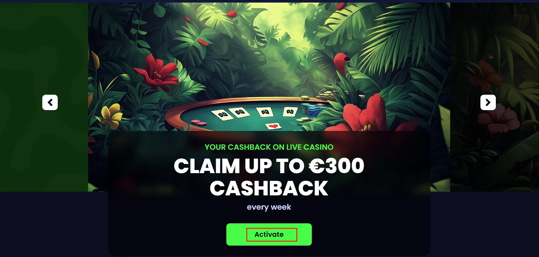 PampaGo Live Casino Bonus